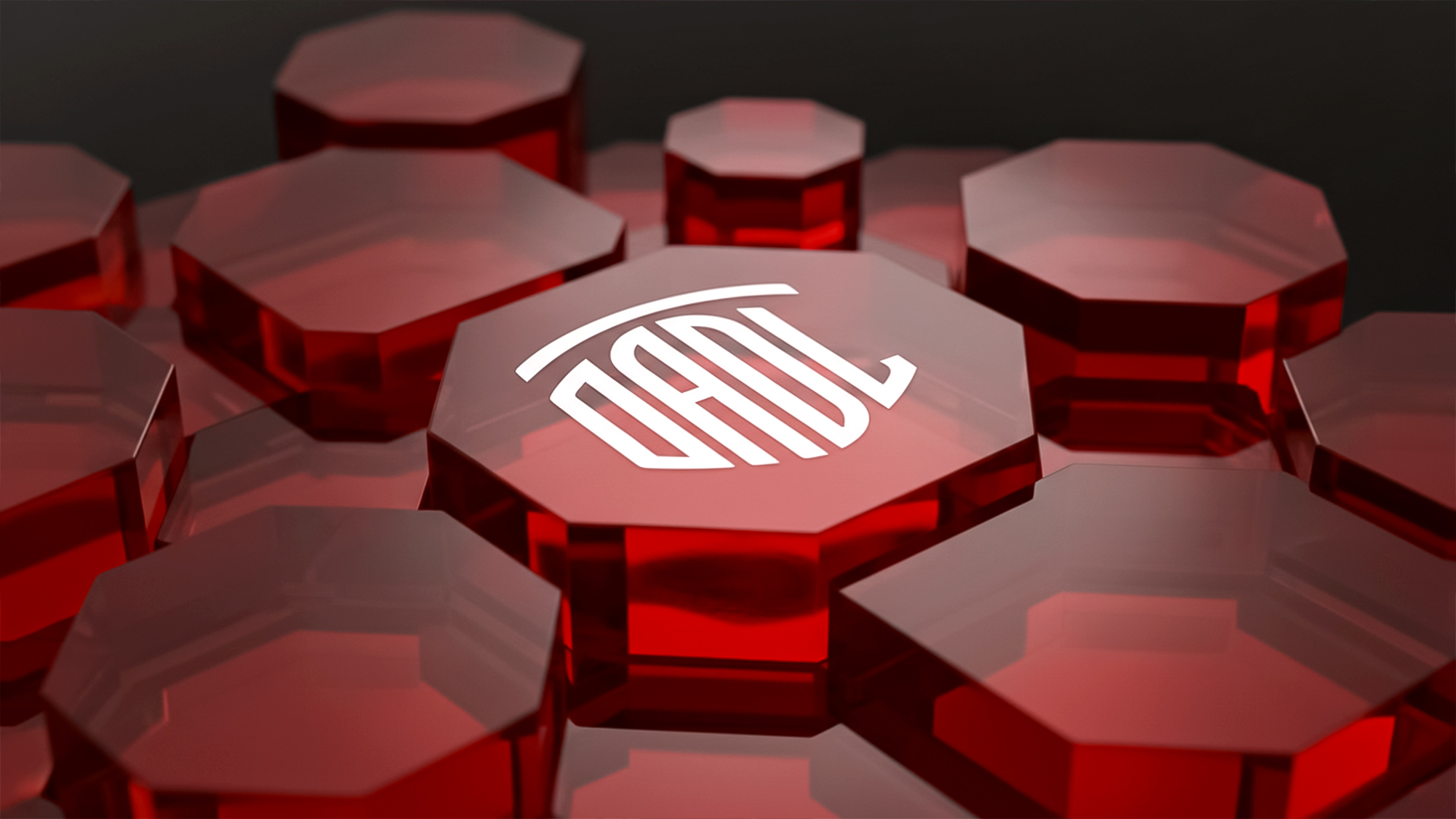 큐브 출연진 이름6